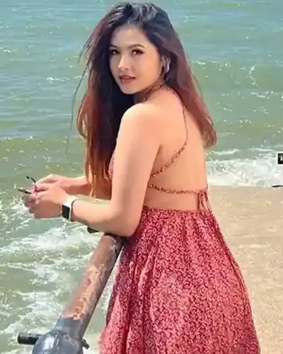 Sonmarg Escort Service